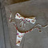 Naya Beaded Bikini Set